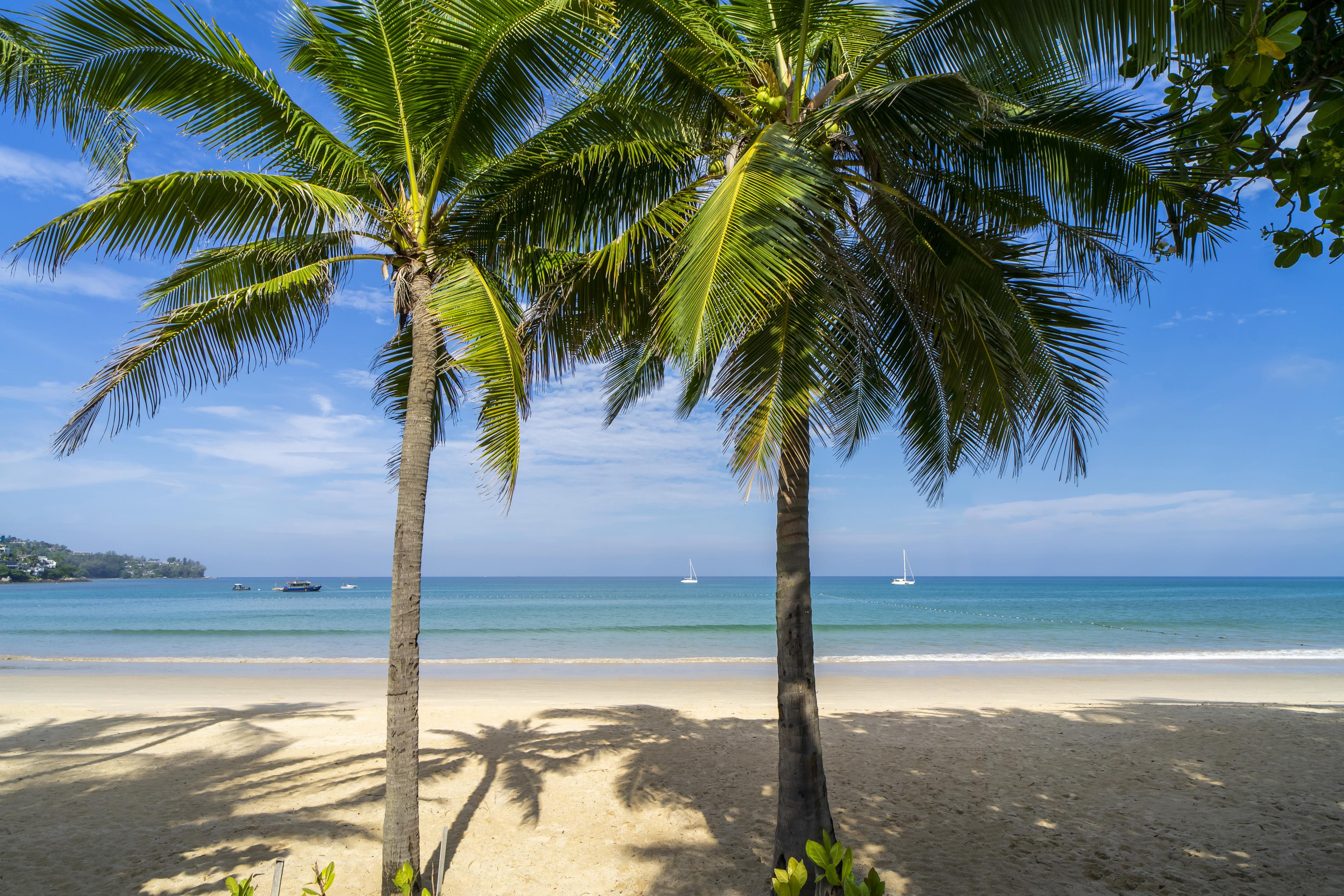 Sunprime Kamala Beach (Adults Only) Dış mekan fotoğraf